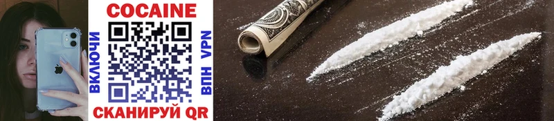 COCAIN Fish Scale  Купить закладки  Дрезна 