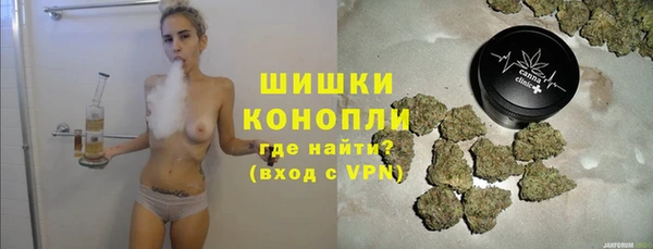PSILOCYBIN Аркадак