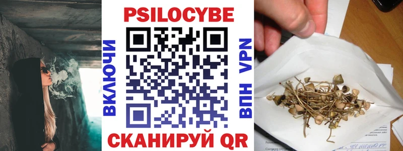Купить  Дрезна  Псилоцибиновые грибы MAGIC MUSHROOMS 