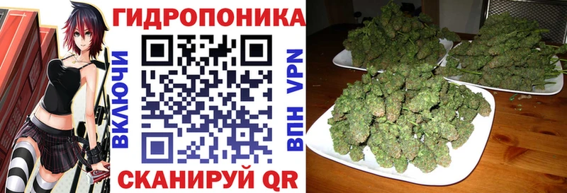 Бошки марихуана Bruce Banner  Купить закладки  Дрезна 
